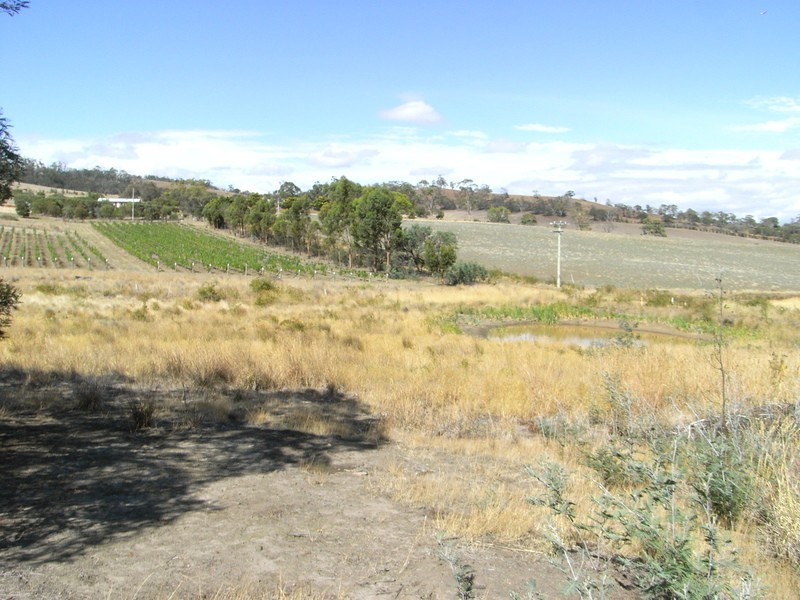 560 Fingerpost Road, Orielton TAS 7172