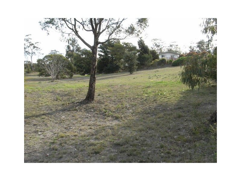 92 Barton Avenue, Triabunna TAS 7190