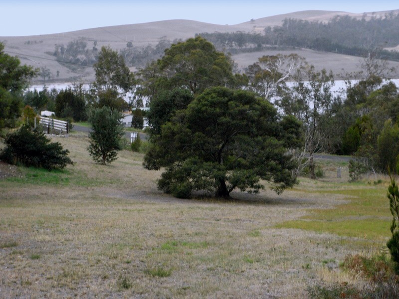 92 Barton Avenue, Triabunna TAS 7190