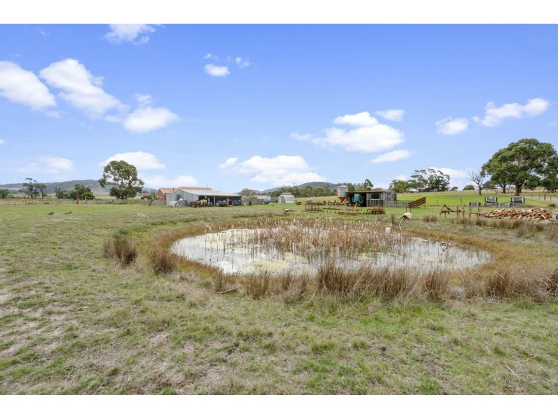 1442 Grasstree Hill Road, Richmond TAS 7025