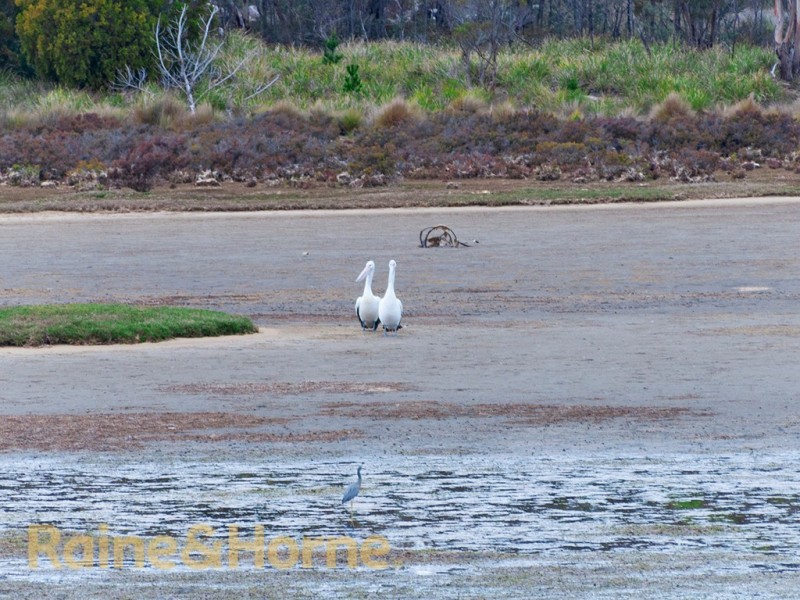 53 Franklin Street, Triabunna TAS 7190