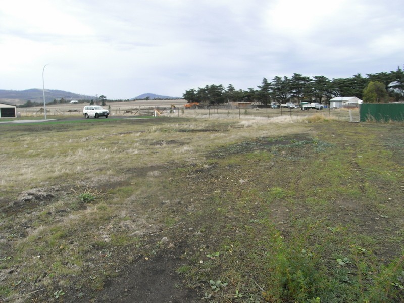 43 Alexander Circle, Campania TAS 7026