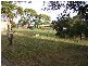 19 Chipmans Road, Rokeby TAS 7019