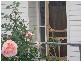 6 Berega Street, Howrah TAS 7018