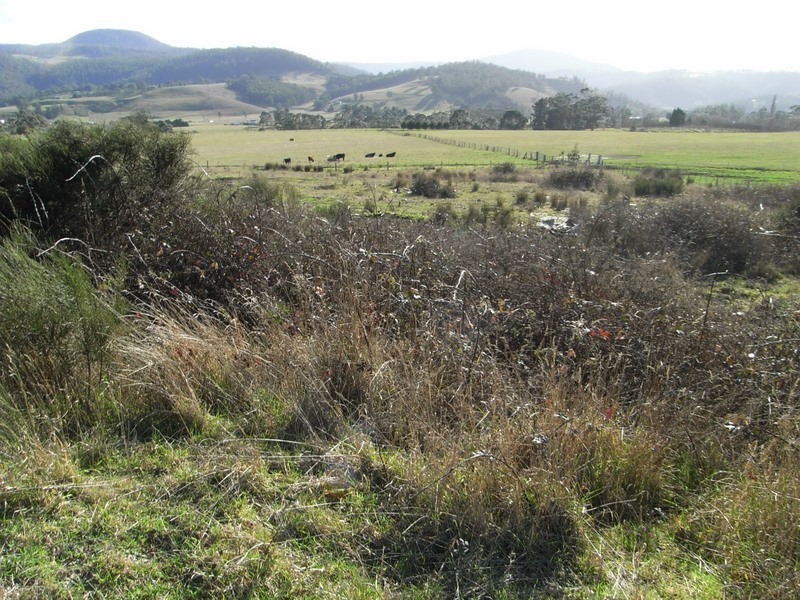 68 North Glen Road, Huonville TAS 7109