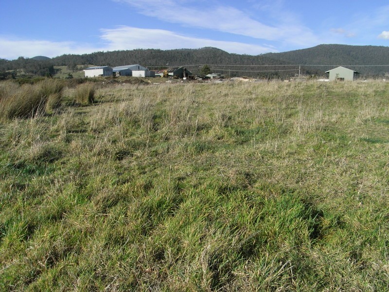 68 North Glen Road, Huonville TAS 7109