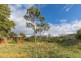 96 Carlton Beach Road, Dodges Ferry TAS 7173