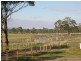 1125 Acton Road, Acton Park TAS 7170