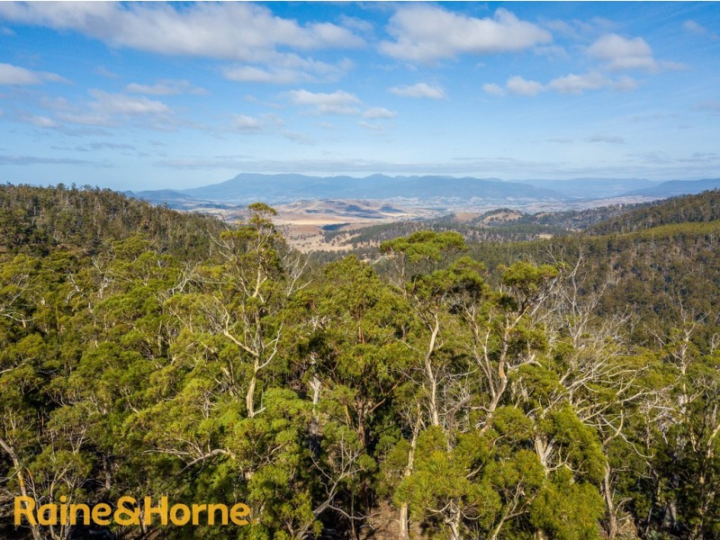 Lot 1 GRICES ROAD, Tea Tree TAS 7017