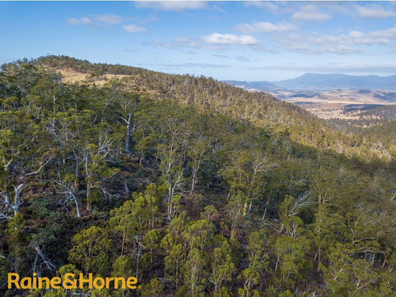 Lot 1 GRICES ROAD, Tea Tree TAS 7017