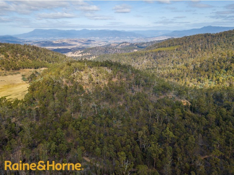 Lot 1 GRICES ROAD, Tea Tree TAS 7017