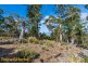 Lot 1 GRICES ROAD, Tea Tree TAS 7017