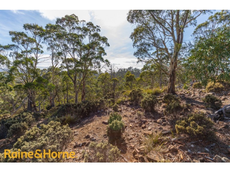 Lot 1 GRICES ROAD, Tea Tree TAS 7017