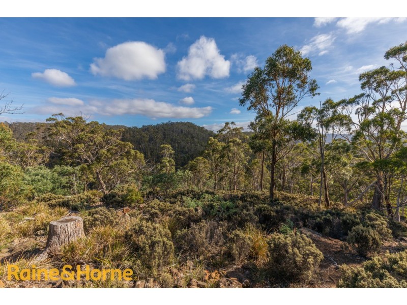 Lot 1 GRICES ROAD, Tea Tree TAS 7017