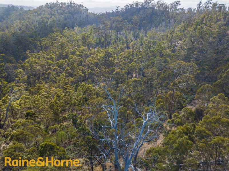 Lot 1 GRICES ROAD, Tea Tree TAS 7017