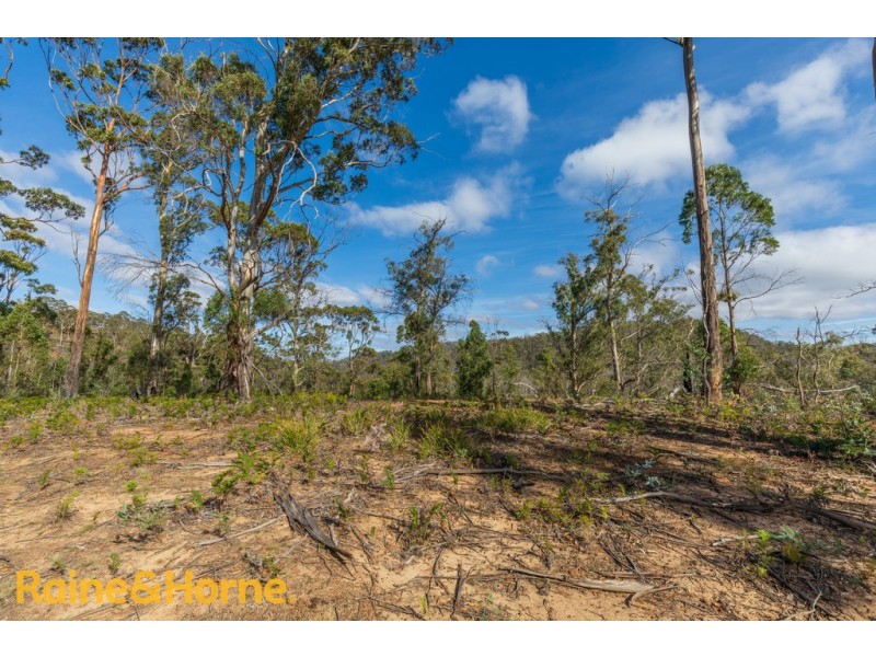 Lot 1 GRICES ROAD, Tea Tree TAS 7017