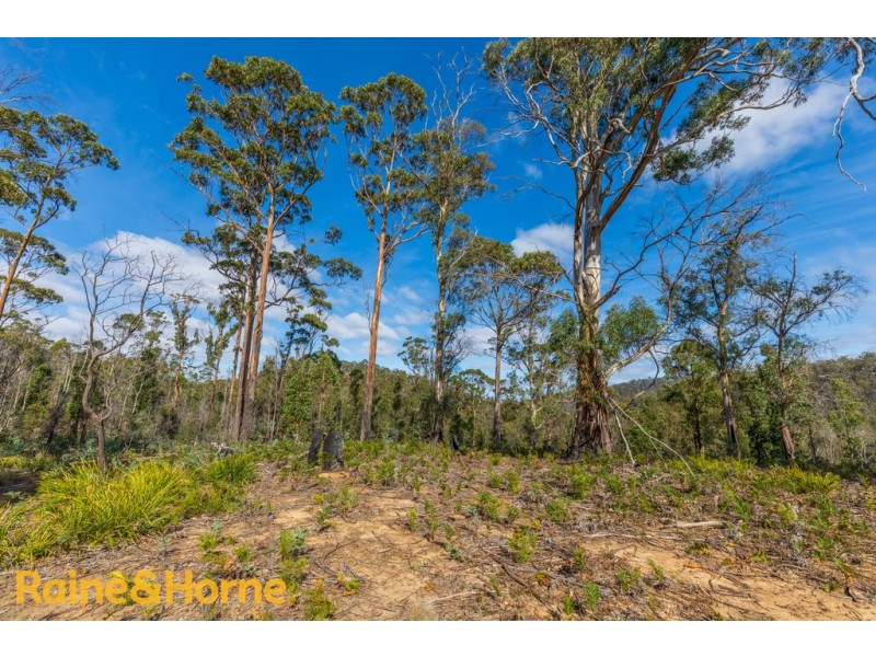 Lot 1 GRICES ROAD, Tea Tree TAS 7017