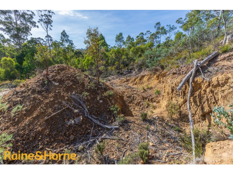Lot 1 GRICES ROAD, Tea Tree TAS 7017