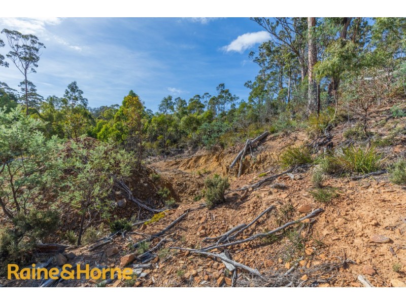 Lot 1 Grices Road, Tea Tree TAS 7017
