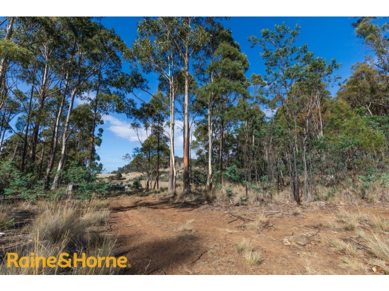 Lot 1 Grices Road, Tea Tree TAS 7017