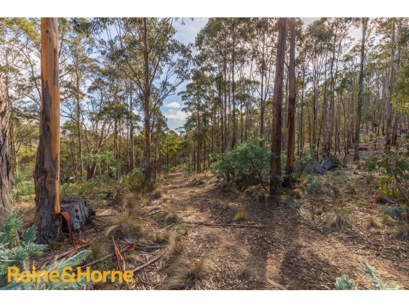Lot 1 Grices Road, Tea Tree TAS 7017