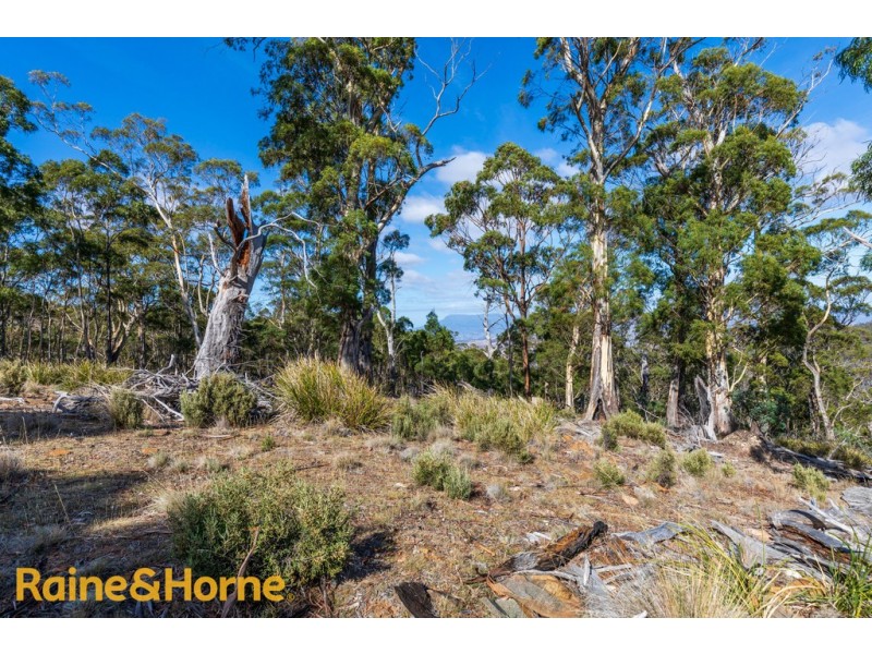 Lot 1 Grices Road, Tea Tree TAS 7017