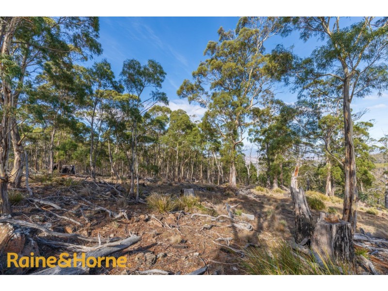 Lot 1 Grices Road, Tea Tree TAS 7017