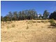 293 Back Tea Tree Road, Richmond TAS 7025