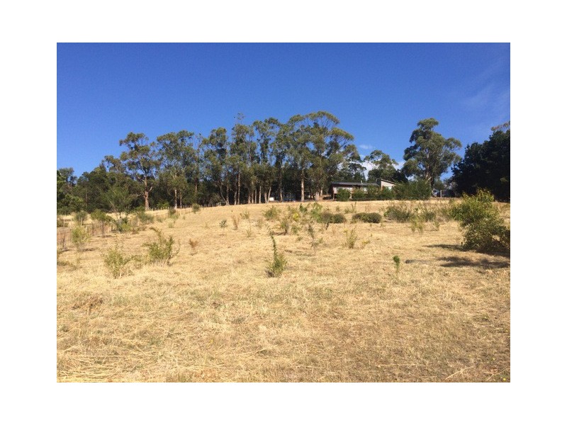 293 Back Tea Tree Road, Richmond TAS 7025