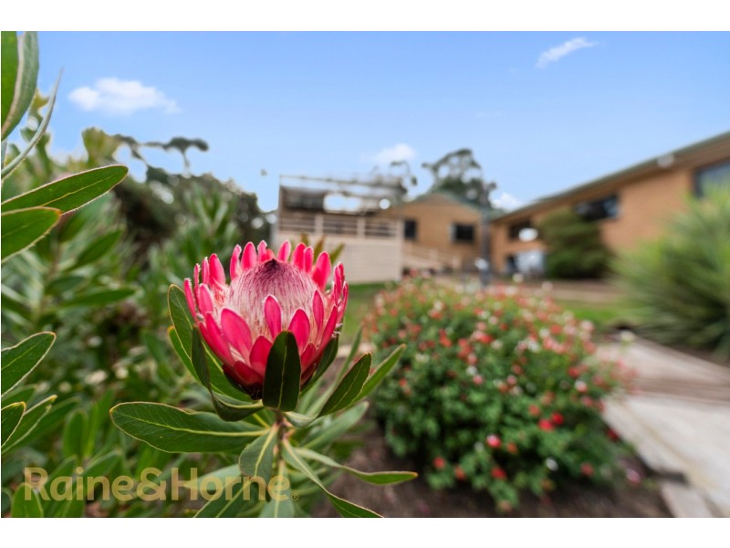 13 Meethenar Street, Carlton TAS 7173