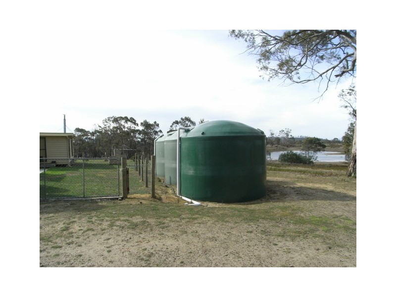 - “Pine Trees” 10048 Tasman Highway, Little Swanport TAS 7190