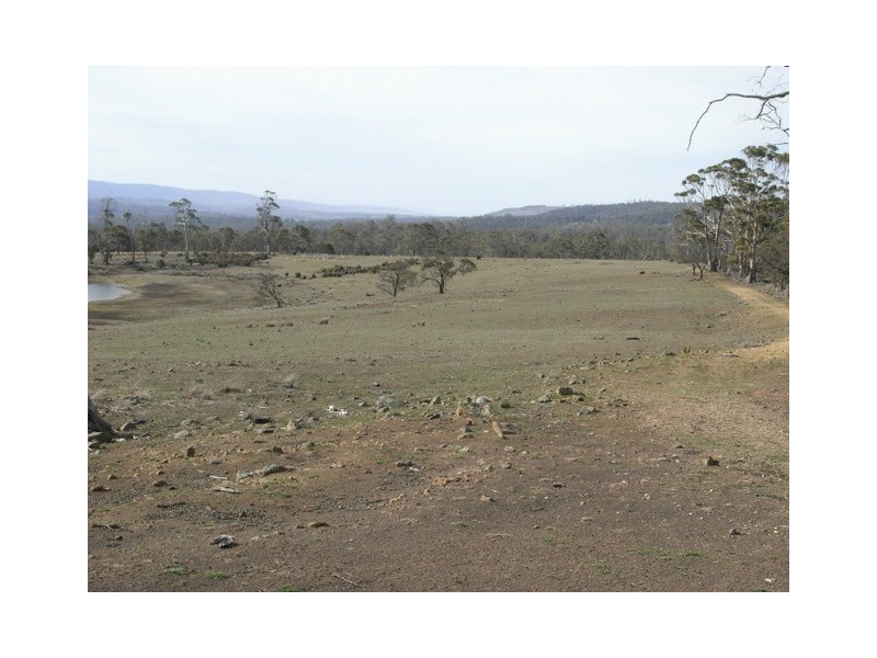 - “Pine Trees” 10048 Tasman Highway, Little Swanport TAS 7190