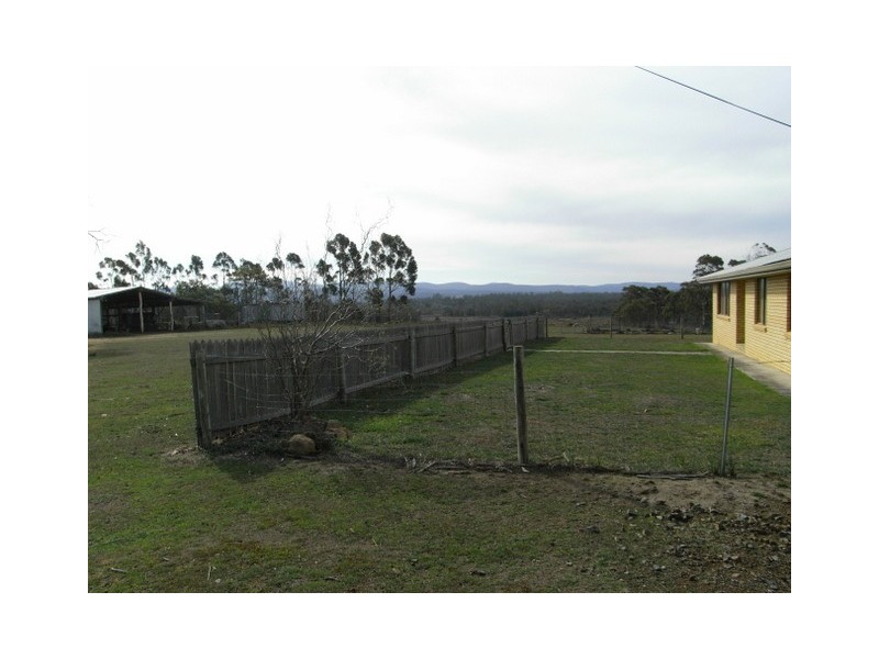 - “Pine Trees” 10048 Tasman Highway, Little Swanport TAS 7190