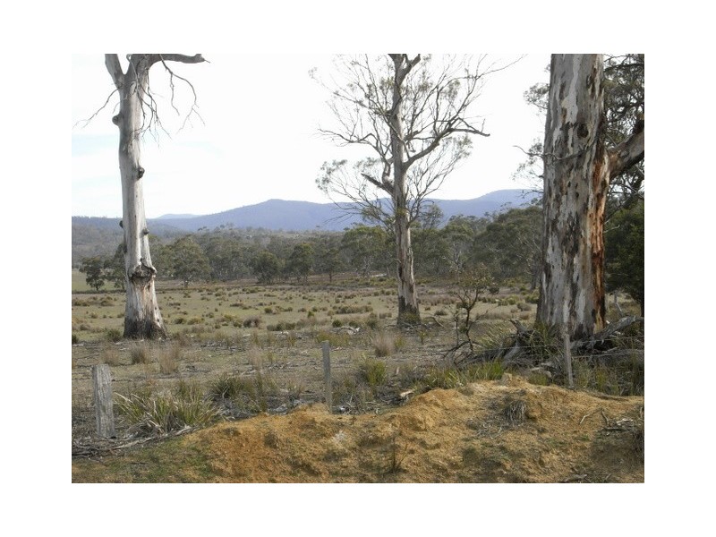 - “Pine Trees” 10048 Tasman Highway, Little Swanport TAS 7190