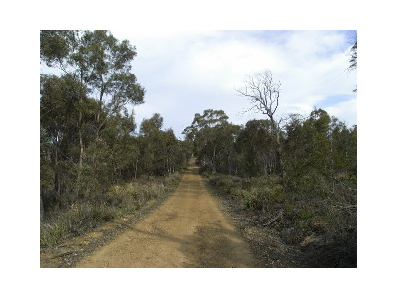 - “Pine Trees” 10048 Tasman Highway, Little Swanport TAS 7190