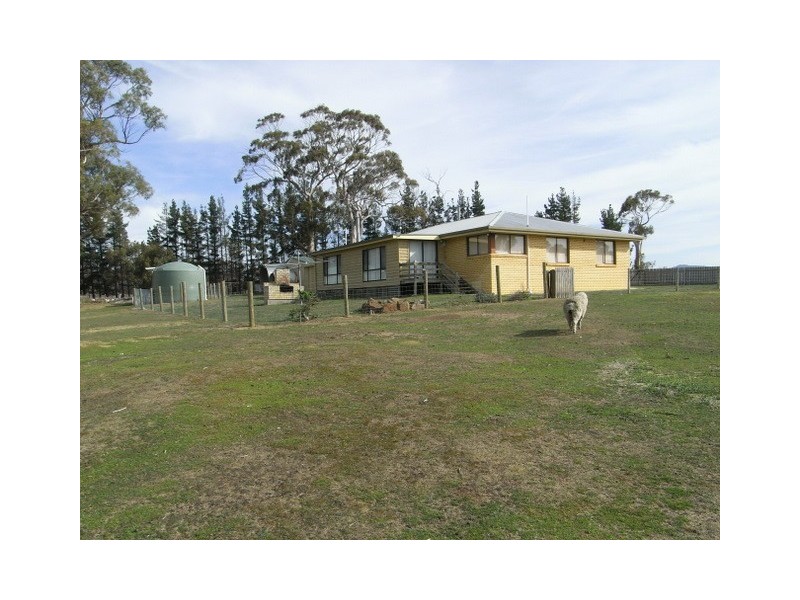 - “Pine Trees” 10048 Tasman Highway, Little Swanport TAS 7190