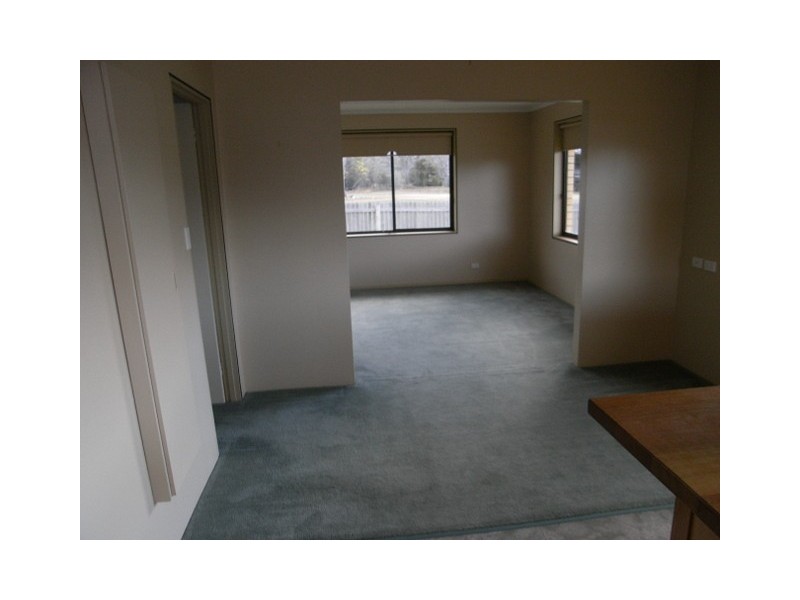 - “Pine Trees” 10048 Tasman Highway, Little Swanport TAS 7190