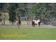 75 Musks Road, Sandford TAS 7020