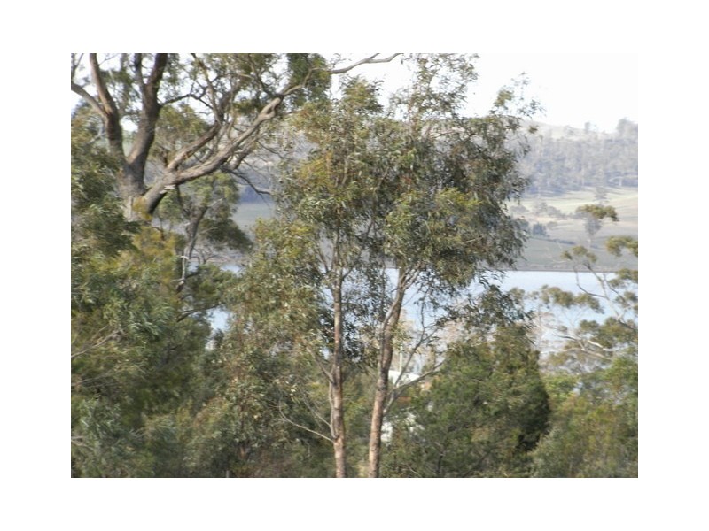 - “Barton Heights”, Barton Avenue, Triabunna TAS 7190