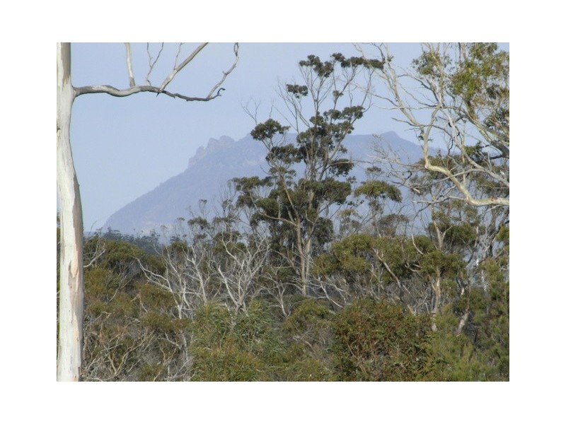 - “Barton Heights”, Barton Avenue, Triabunna TAS 7190