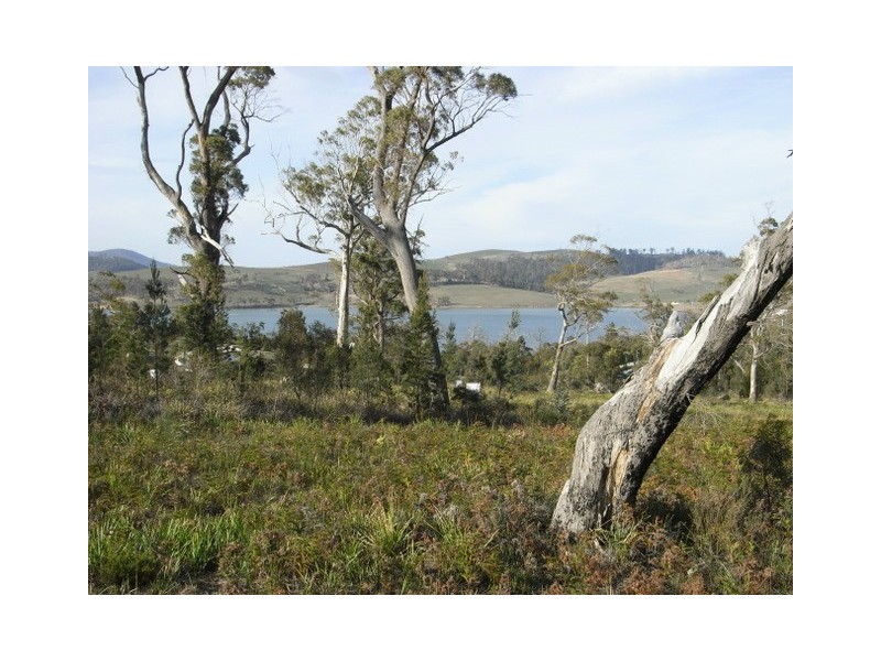 - “Barton Heights”, Barton Avenue, Triabunna TAS 7190