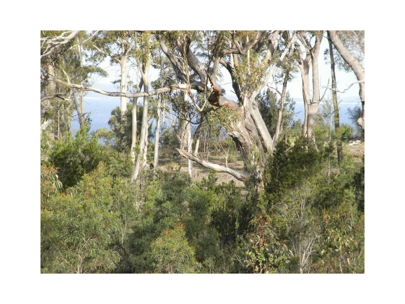 - “Barton Heights”, Barton Avenue, Triabunna TAS 7190