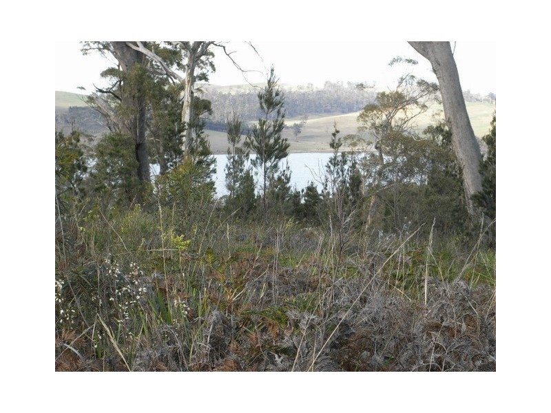 - “Barton Heights”, Barton Avenue, Triabunna TAS 7190