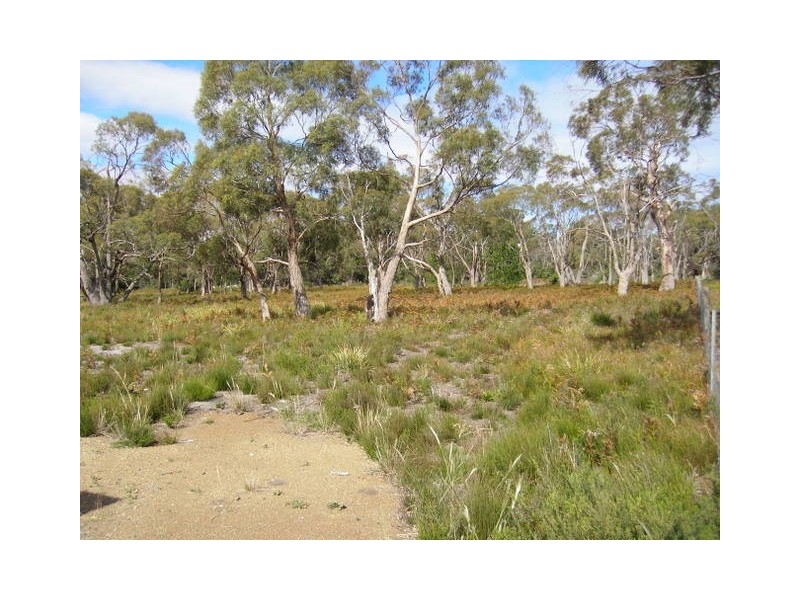 38 International Close, Acton Park TAS 7170