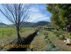 1206 Elderslie Road, Broadmarsh TAS 7030
