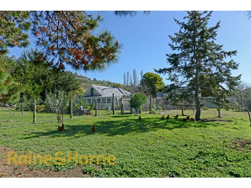 1206 Elderslie Road, Broadmarsh TAS 7030