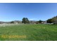 1206 Elderslie Road, Broadmarsh TAS 7030