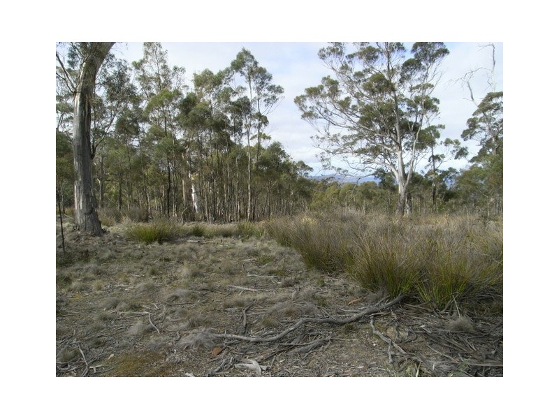 0 Off Wielangta Rd, Orford TAS 7190