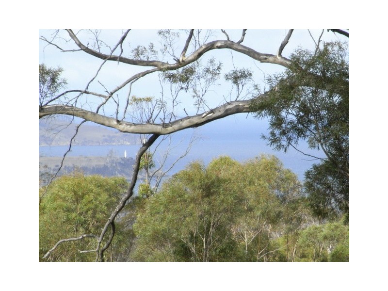 0 Off Wielangta Rd, Orford TAS 7190