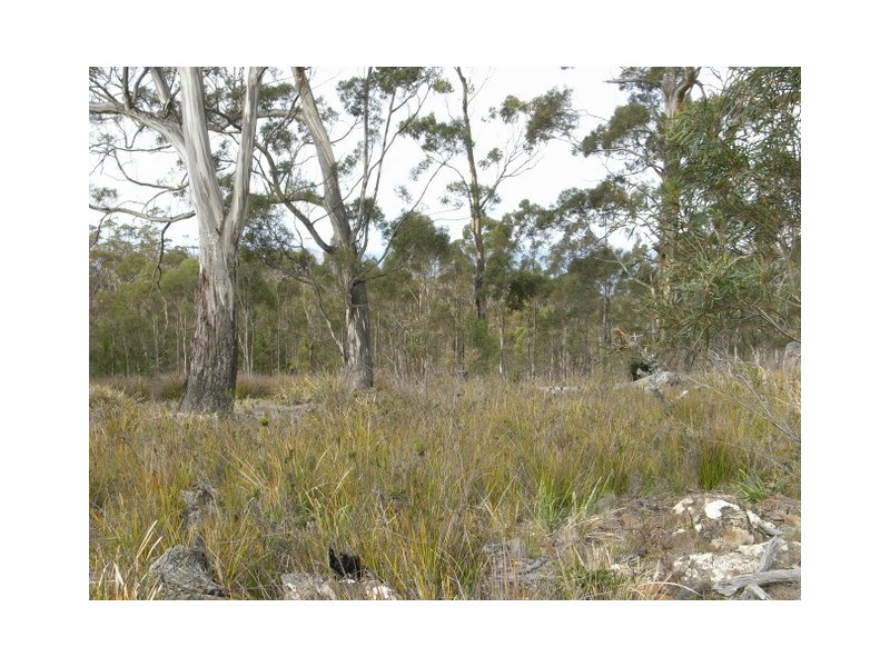 0 Off Wielangta Rd, Orford TAS 7190